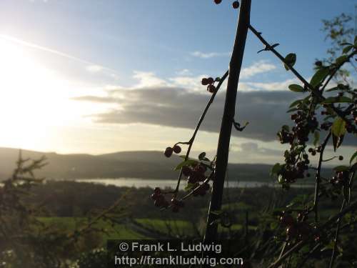 Lough Arrow